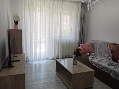 a living room with a couch and a coffee table at Apartament Alba Iulia in Alba Iulia