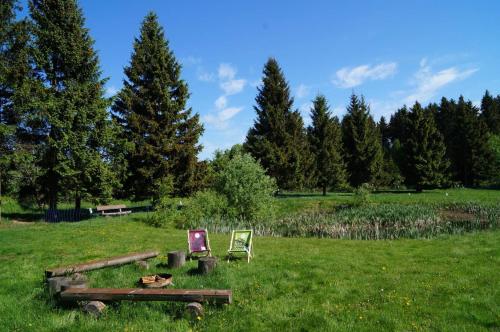 a field with a table and a chair in the grass at Kammbaude Neuhermsdorf in Neuhermsdorf