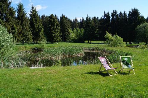two chairs sitting in the grass next to a pond at Kammbaude Neuhermsdorf in Neuhermsdorf