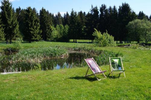 two chairs sitting in the grass next to a pond at Kammbaude Neuhermsdorf in Neuhermsdorf