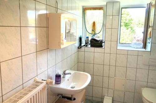 a bathroom with a sink and a mirror at Kammbaude Neuhermsdorf in Neuhermsdorf