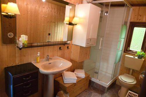 a bathroom with a sink and a shower and a toilet at Kammbaude Neuhermsdorf in Neuhermsdorf
