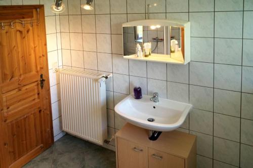 La salle de bains est pourvue d'un lavabo et d'un miroir. dans l'établissement Kammbaude Neuhermsdorf, à Neuhermsdorf