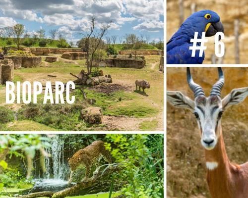 a collage of pictures of animals and a zoo at Jolie m'Home, Le Puy du Fou, 15 pers, 7 ch, 5 sde, 5 wc in Mauléon