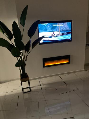 TV a/nebo společenská místnost v ubytování 50 m2 Apartment