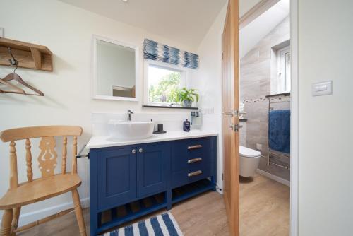 uma casa de banho com um armário azul e um lavatório em Courtyard Cottage em Barnstaple