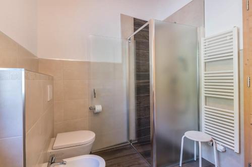 a bathroom with a shower with a toilet and a stool at Apt Gamsstube in Maranza