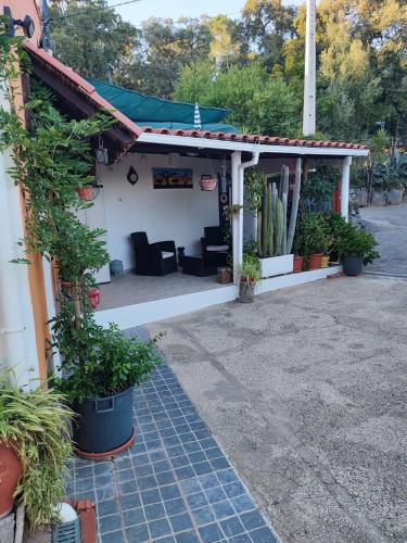 a porch of a house with potted plants at My House - Casa Charme in Monchique