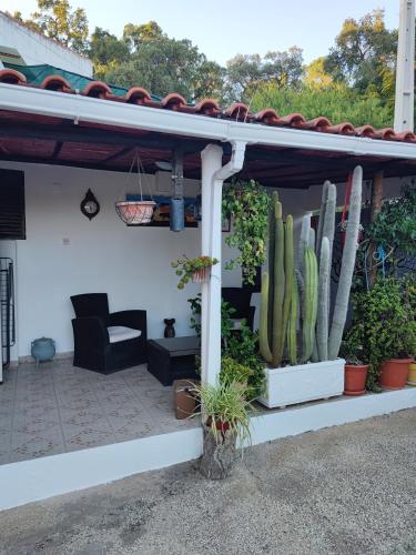 a porch with a cactus and a couch and a chair at My House - Casa Charme in Monchique