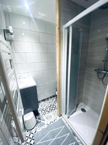 a bathroom with a shower and a toilet at Joli logement au calme in Vésonne