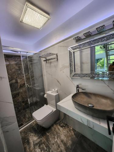 a bathroom with a sink and a toilet and a shower at PIOTROWSKI APARTMENTS in Theológos