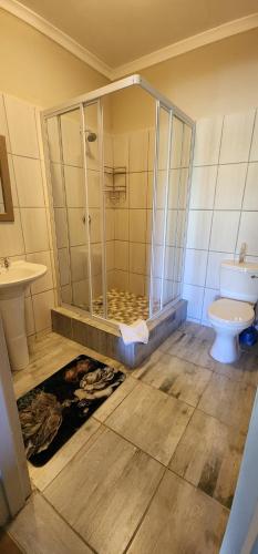 een badkamer met een douche en een toilet bij Ash River Lodge in Clarens