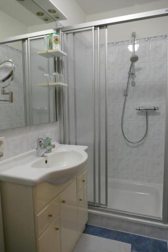 ein Bad mit einem Waschbecken und einer Dusche in der Unterkunft HOCHFICHTBLICK Apartments in Ulrichsberg