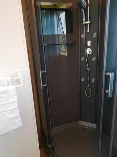 une douche avec une porte vitrée dans une salle de bain dans l'établissement Cottage flottant terrasse jacuzzi option aux Portes de Dijon, à Ouges