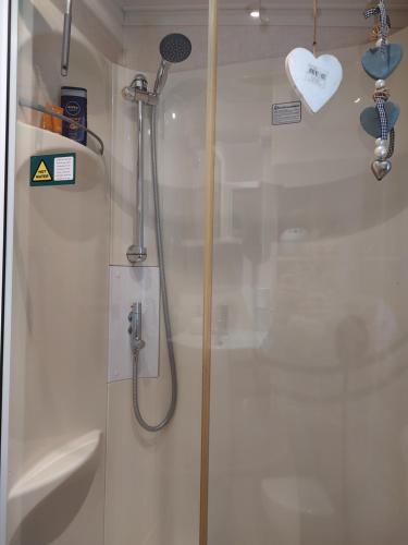 eine Dusche im Bad mit Glastür in der Unterkunft Chalet met veranda aan bosrand in Vledder
