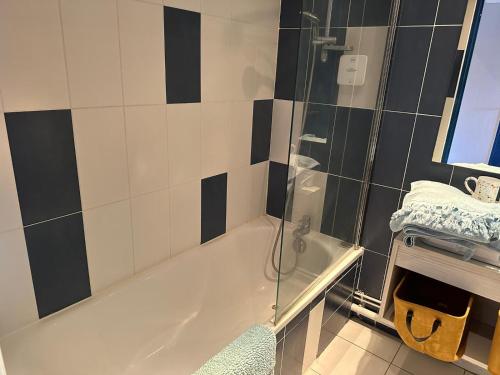 een badkamer met een douche en een bad bij Aux abords du lac in Arles