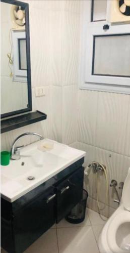ein Badezimmer mit einem Waschbecken, einem Spiegel und einem WC in der Unterkunft Badr in Kairo