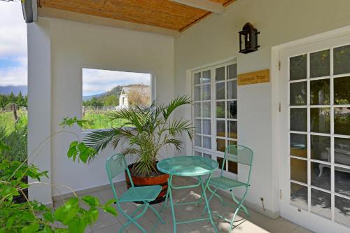a patio with a table and chairs and a plant at Fransvliet Guest House in Franschhoek