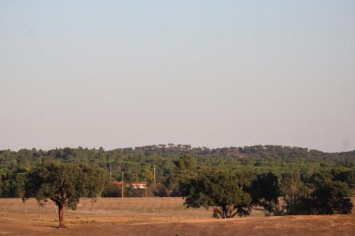 Φυσικό τοπίο κοντά σε αυτή η παραθεριστική κατοικία