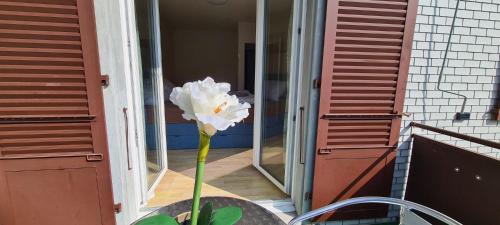 a white flower sitting on top of a table at Edel Apartments Dulliken in Dulliken