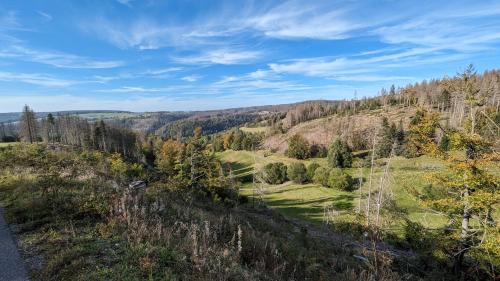 a view of a valley with trees on a hill at Gästehaus Fehrenbacher Schweiz in Masserberg