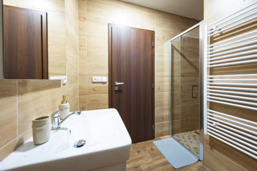 La salle de bains est pourvue d'un lavabo et d'une douche. dans l'établissement Apartmány Depandace Anička, à Deštné v Orlických horách