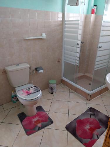 a bathroom with a toilet and a shower and mats at BIENVENUE AU SOLEIL LEVANT assier entrée morne savon ,le lorrain in Le Lorrain