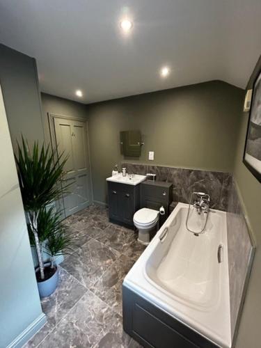 uma casa de banho com um lavatório e um WC em The Cottage Leyburn em Leyburn