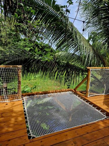 PURA VIDA Lodge Cabane perchéeにある庭