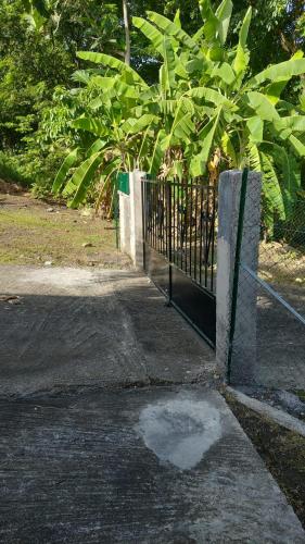 une porte avec une flaque d'eau au sol dans l'établissement les héritiers, à Trois-Rivières