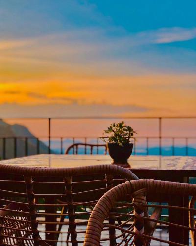 a table with a potted plant on top of a balcony at HIDE ELLA Hotel & Resort in Ella