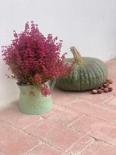 a green pumpkin and a vase with purple flowers at Pannonhalma Várlak Vendégház in Pannonhalma