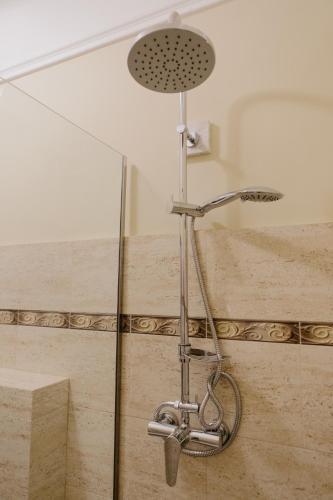 a shower in a bathroom with a glass door at Excelsior INN in Turda