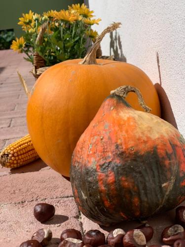 two pumpkins and a gourd sitting on a table at Pannonhalma Várlak Vendégház in Pannonhalma