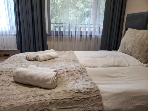 1 cama con 2 toallas y ventana en Cozy Riverside Pine Studio E5, en Borovets