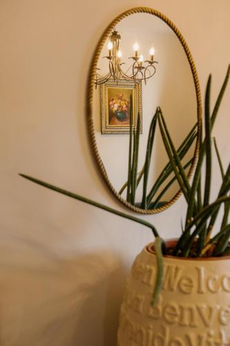 a vase with a plant in front of a mirror at Excelsior INN in Turda