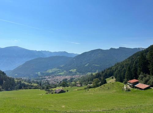 a green field with mountains in the background at Appartamento del Sole in Borno