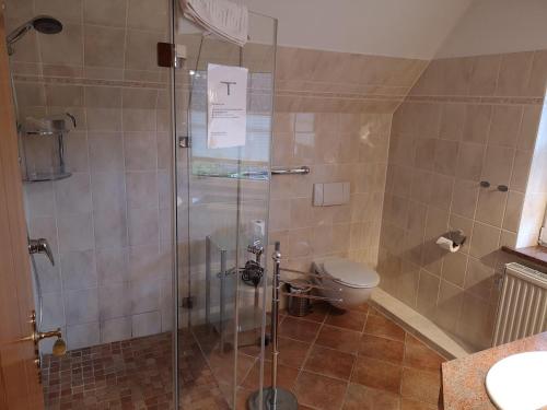 a bathroom with a glass shower with a toilet at Ferienwohnung-im-Gruenen-zwischen-Binz-und-Sellin in Zirkow