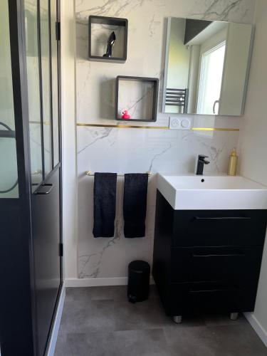 a bathroom with a sink and a mirror at Les gîtes coquins in Amilly