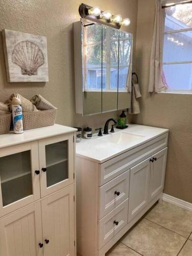 a bathroom with a sink and a mirror at Hidden Gem 3br/1b+Jacuzzi+busch garden+fishn+kayak in Tampa
