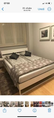 Apollo Apartaments