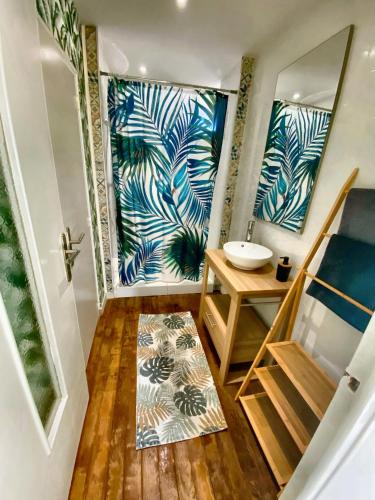 une salle de bain avec un lavabo et un miroir dans l'établissement Maison ville T2 quartier calme Parking Gratuit, à Saint-Julien-les-Villas