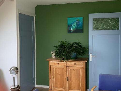 a room with green walls and a wooden cabinet with a plant on it at Philipstère in Sint Philipsland