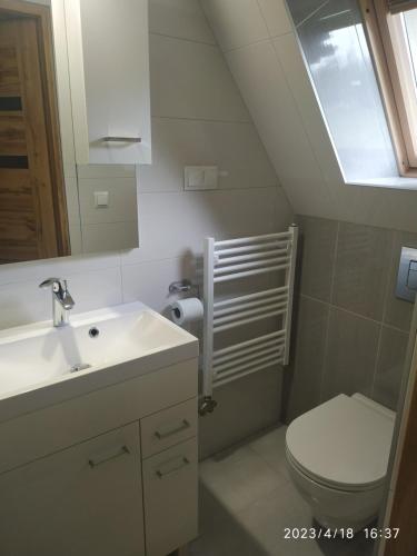 a bathroom with a sink and a toilet and a window at Dom W Krokusach Pokoje Gościnne in Nowe Bystre