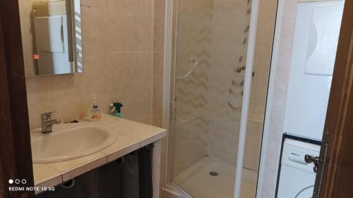 a bathroom with a sink and a shower at FLORAC AUTHENTIQUE in Florac Trois Riviere