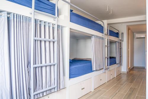 a room with four bunk beds with blue sheets at Dreamer Beach Club in San Andrés