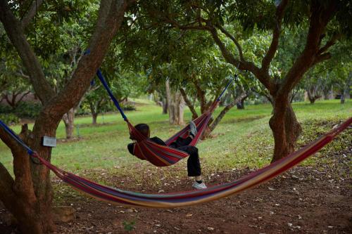 a man laying in a hammock in a park at NUYU Khaoyai in Pong Talong
