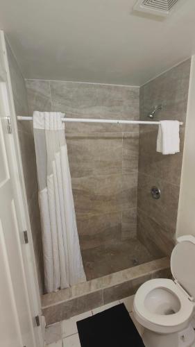 a bathroom with a shower and a toilet at Mount Airy Motel in Mount Airy