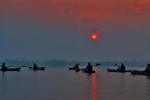 a group of people kayaking on the water at sunset at Eden Homestay Alleppey in Alleppey