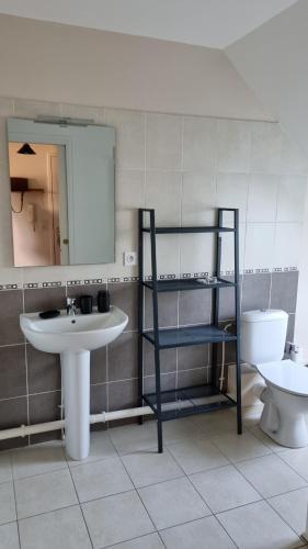 ein Badezimmer mit einem Waschbecken, einem WC und einem Spiegel in der Unterkunft Le Saint Thomas in Crépy-en-Valois
